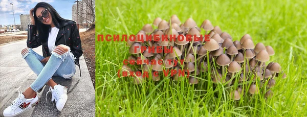 сатива Баксан