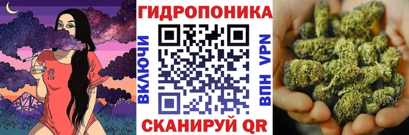 что такое   мега сайт  Каннабис OG Kush  Черепаново 